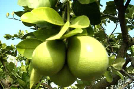 九游网页版入口案例展示一