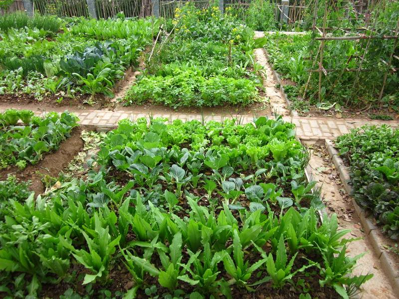 九游网页版入口案例展示五